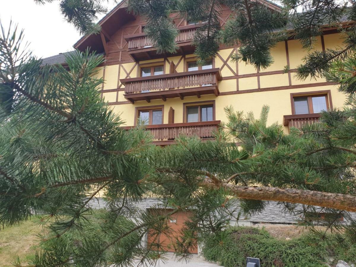 Apartman Erika Vel'ka Lomnica Exterior photo